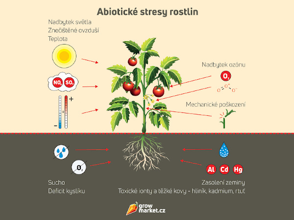 Sucho, horko a jiné abiotické stresové faktory rostlin