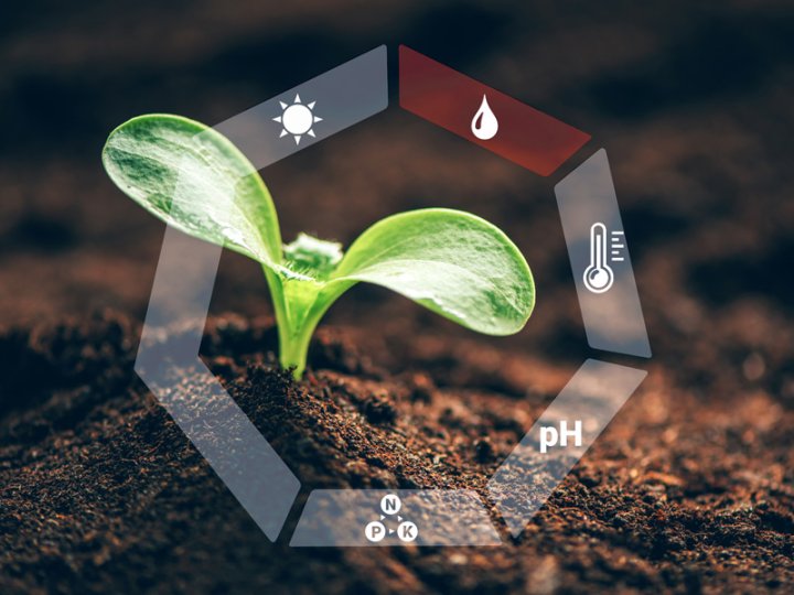 Automatická závlaha bez elektřiny: Poradíme jak na to!