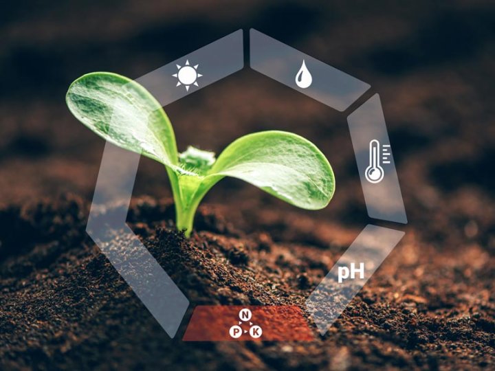 Které živiny rostliny nejčastěji postrádají a jak tomu předcházet?