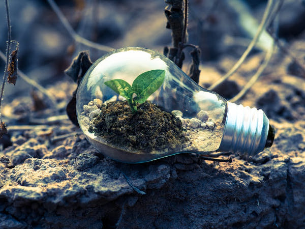 Světelné spektrum a fotosyntéza