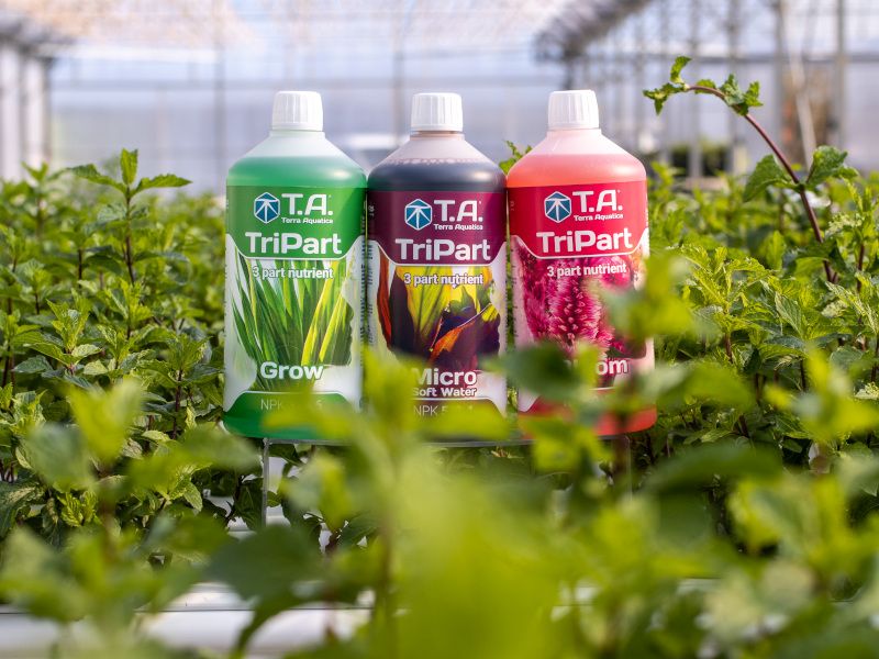 Jaký je rozdíl mezi hnojivy pro růst a květ?