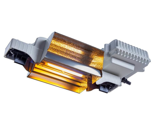 Jak vybrat světlo pro indoor pěstování