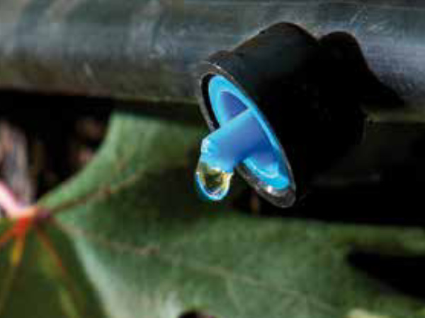 Kapková závlaha znamená výhodné a hospodárné zalévání