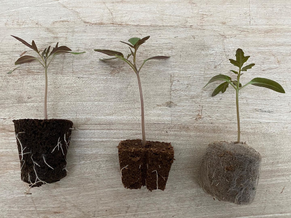 Klíčení semínek a výsadba bylinek, malý krok k velké úrodě