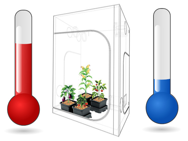 Indoor growing: Jak udržet v pěstírně nízké teploty
