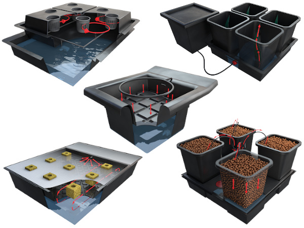 Typy pěstebních systémů a jejich výhody