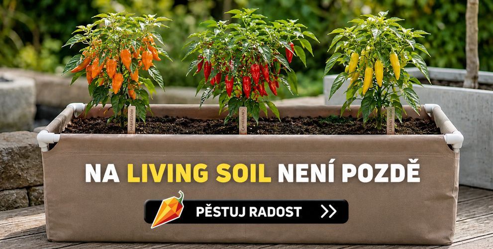 LIVING SOIL pěstování