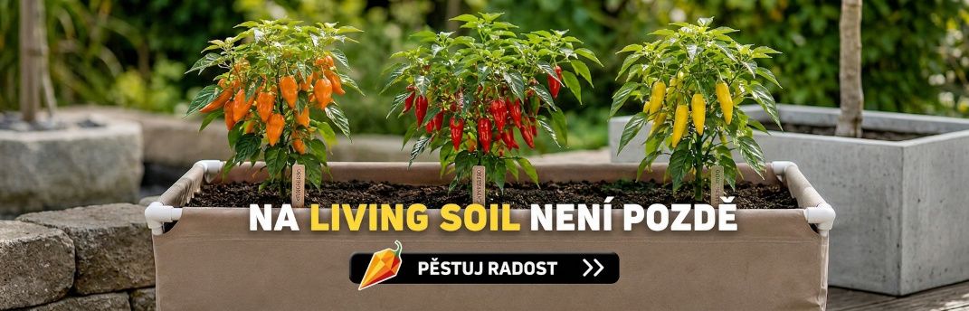 LIVING SOIL pěstování
