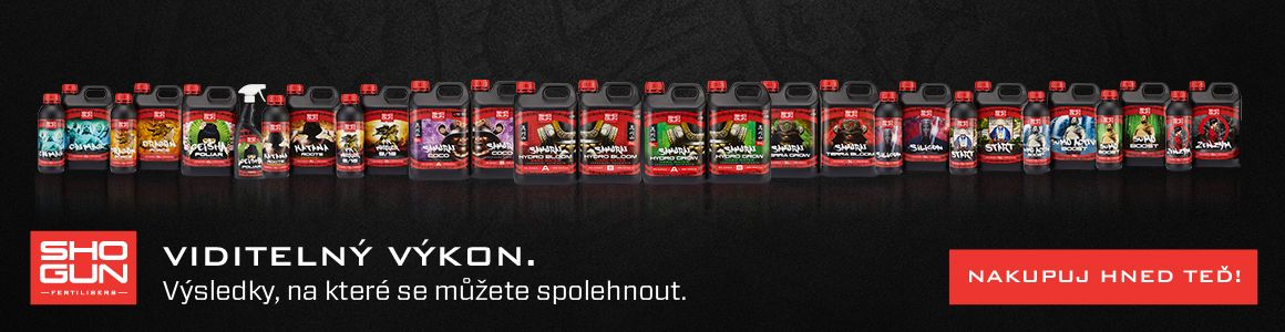 Shogun nabídka
