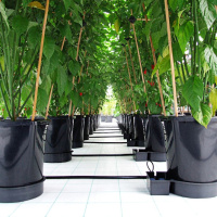  Samozavlažovací květináče Autopot nepotřebují žádnou elektrickou energii.