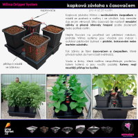  Automatická kapková závlaha Wilma umožňuje pěstovat v zemině, kokosu i hydroponicky.