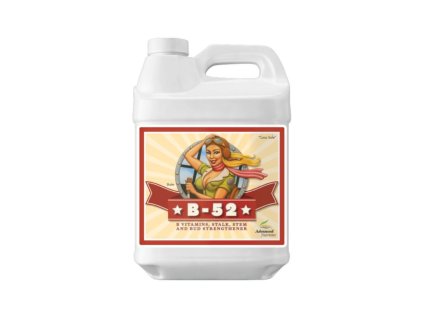 Advanced Nutrients B-52 5 l, vitamínový stimulátor
