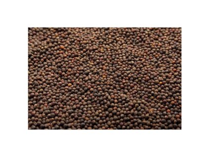 Červené zelí na microgreens, 500 g