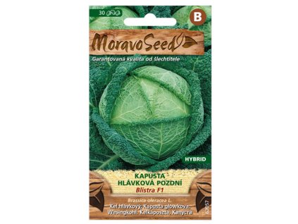 Semínka Kapusta hlávková pozdní BLISTRA F1 – hybrid, 40 s