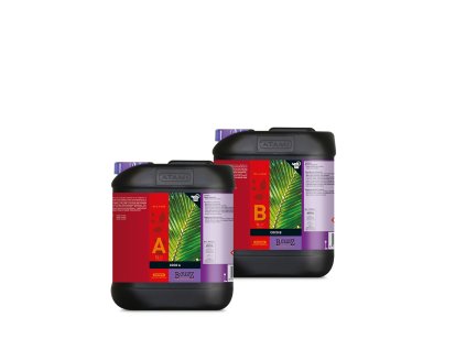 Atami B´Cuzz Coco A+B 5 l, základní hnojivo na růst a květ