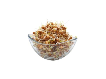 Microgreens semínka na klíčky - Čočka 20 g