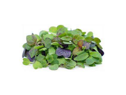 Microgreens semínka na klíčky - Směs čínská 40 g