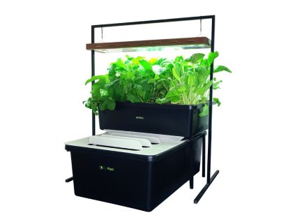 FishPlant Aquaponics Family Unit