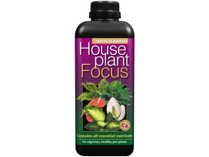Growth Technology Houseplant Focus 1 l