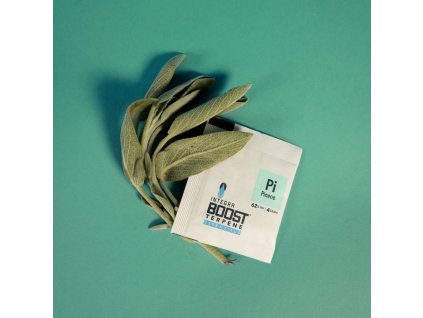 Integra Boost Terpene Essentials Pinen 4 g, 62%, 1 ks