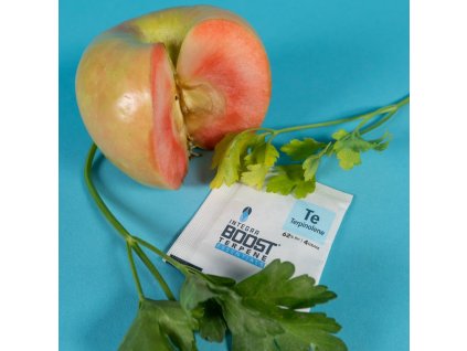 Integra Boost Terpene Essentials Terpinolen 4 g, 62%, BOX 48 ks
