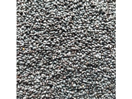 Bazalka zelená na microgreens, 50 g