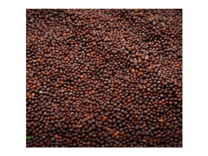 Brokolice Raab na microgreens, 100 g