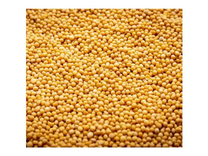 Hořčice bílá na microgreens, 50 g