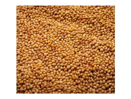 Jetel nachový na microgreens, 50 g