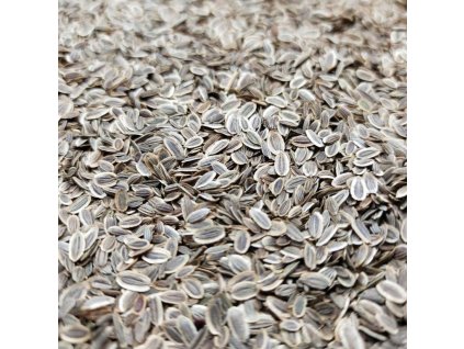 Kopr vonný na microgreens, 50 g