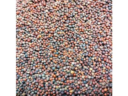 PAK CHOI červený na microgreens, 50 g