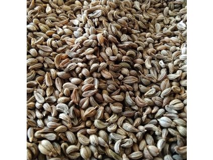 Petržel zahradní na microgreens, 100 g