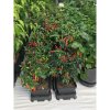 Autopot Easy2Grow, 2 květináče s nádrží 47 l (Aquavalve5)