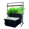 FishPlant Aquaponics Family Unit