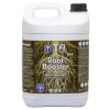 3223 6 root booster 5l fond blanc 720