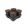 Nutriculture Wilma Small 4x 11 l, kapková závlaha 60x60x20 cm