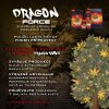 Shogun Dragon Force 1 l