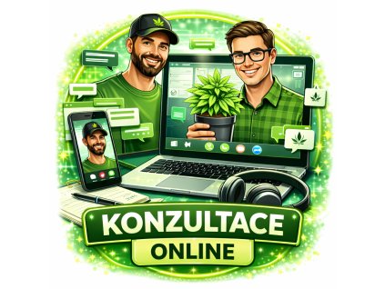 Konzultaceonline