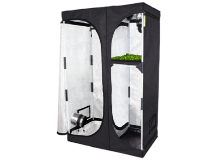 probox PL