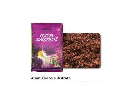 atami coco