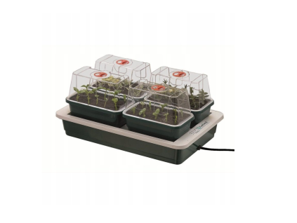 G11