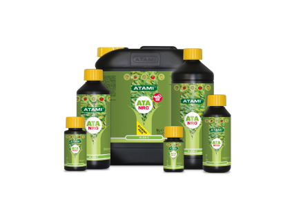 alga c