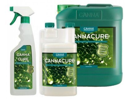cannacure