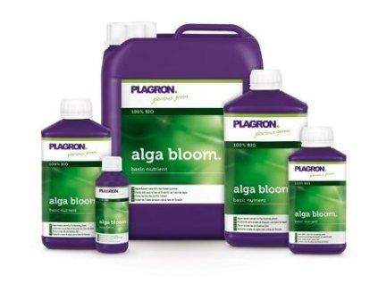 Alga Bloom