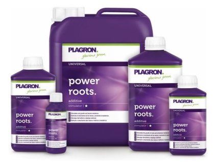 Power Roots