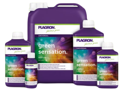 Green Sensation
