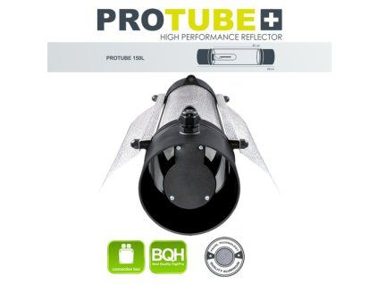 protubeL