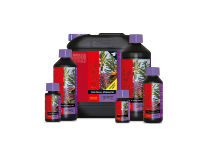 coco bloom stim
