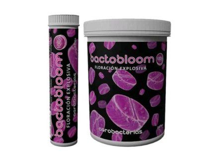bactobloom2