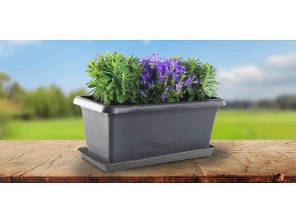 Extra flor anthracite 01